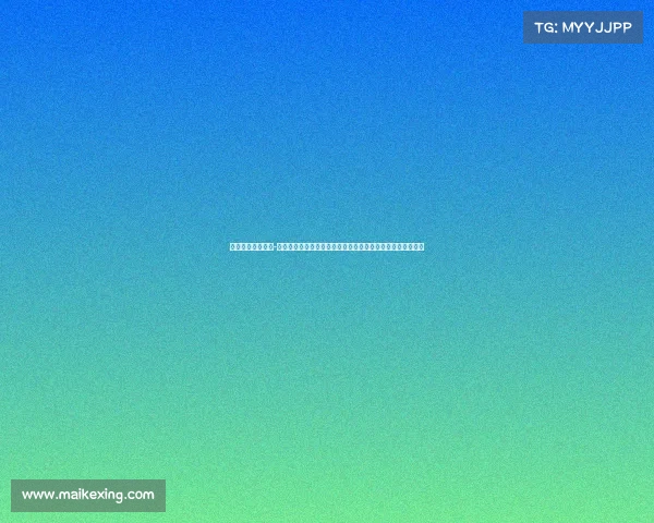 新宁体育馆总投资-新宁体育馆年度体育盛事激情开赛顶尖选手齐聚共创辉煌瞬间